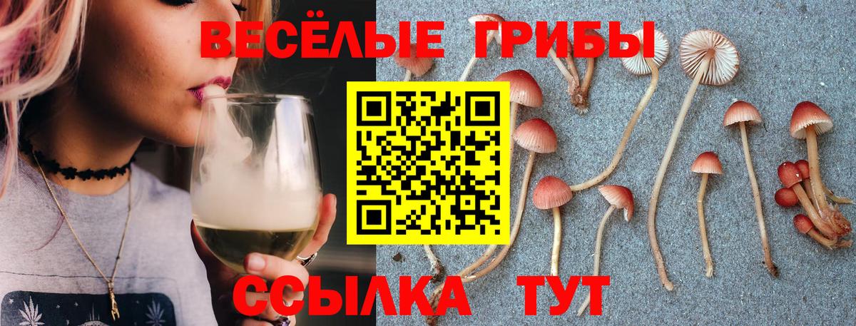 Псилоцибиновые грибы ЛСД Новочебоксарск