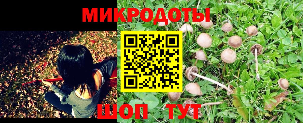 Новочебоксарск  Галлюциногенные грибы MAGIC MUSHROOMS  Вход с VPN 